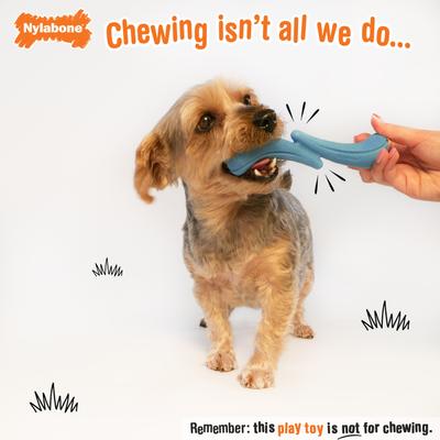 Show full view: Nylabone Creative Play Stik-GO Fetch Dog Toy, Small slide 3 of 10