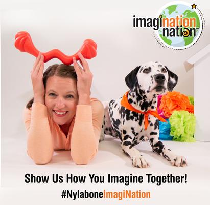 Show full view: Nylabone Creative Play Stik-GO Fetch Dog Toy, Small slide 8 of 10