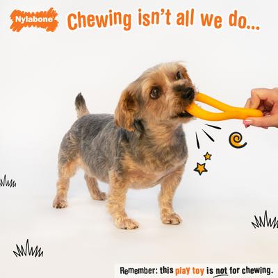 Show full view: Nylabone Creative Play Tuug Dog Toy, Small slide 2 of 10