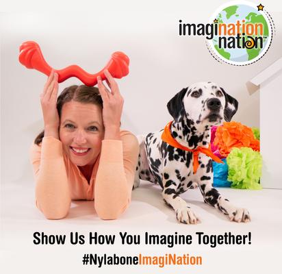 Show full view: Nylabone Creative Play Tuug Dog Toy, Small slide 7 of 10