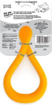 Show full view: Nylabone Creative Play Tuug Dog Toy, Small slide 9 of 10