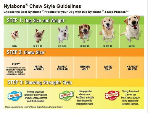 Show full view: Nylabone Dental Chew & Flexi Bone Combo Pack Dog Chew Toys, Twin Pack, Chicken, Medium slide 10 of 13