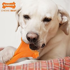 Nylabone Dog Toy Power Chew Dog Toy for Aggressive Chewers - Axis Bone Dog Toy - Bacon, X-Large slide 2 of 7