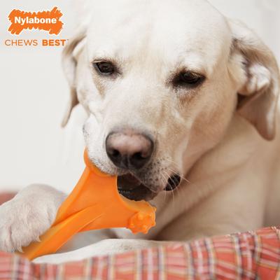Show full view: Nylabone Dog Toy Power Chew Dog Toy for Aggressive Chewers - Axis Bone Dog Toy - Bacon, X-Large slide 2 of 11