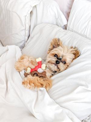 Show full view: Nylabone Double Bone Power Chew Long-Lasting Dog Toy Bacon, X-Small slide 3 of 13