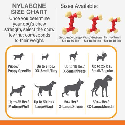 Show full view: Nylabone Double Bone Power Chew Long-Lasting Dog Toy Bacon, X-Small slide 4 of 13