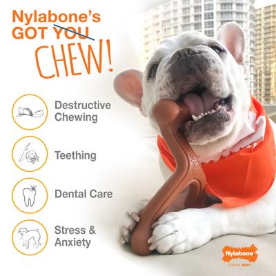 Show full view: Nylabone Dura Chew Power Chew Textured Dog Bone Flavor Medley, Small  slide 3 of 13