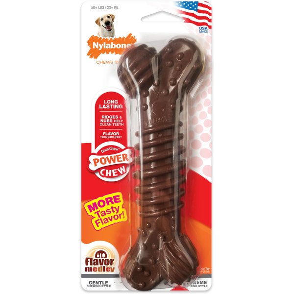 Nylabone DuraChew Knot Bone Dog Toy