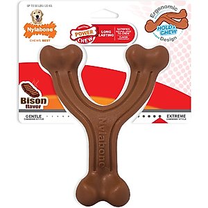 Benebone Bacon Flavor Wishbone Tough Dog Chew Toy