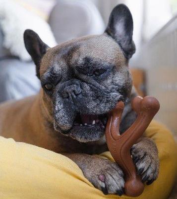 Show full view: Nylabone Ergonomic Hold & Chew Wishbone Power Chew Durable Dog Toy Bison, Large slide 3 of 13