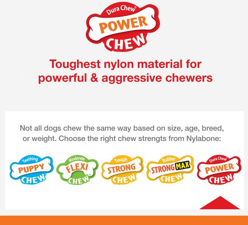 Nylabone Power Chew Wishbone Senior Bison Flavor Dog Chew Toy