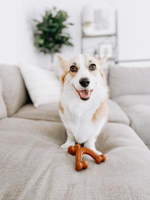 Show full view: Nylabone Ergonomic Hold & Chew Wishbone Power Chew Durable Dog Toy Bison, Small slide 2 of 13