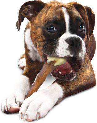 Show full view: Nylabone Femur Bone Rawhide Alternative Power Chew Durable Dog Toy, Beef, Large slide 9 of 13