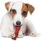 Show in main carousel: Nylabone Flavor Frenzy Power Chew Dog Toy Beef Jerky, Small slide 3 of 12