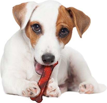 Show full view: Nylabone Flavor Frenzy Power Chew Dog Toy Beef Jerky, Small slide 8 of 12