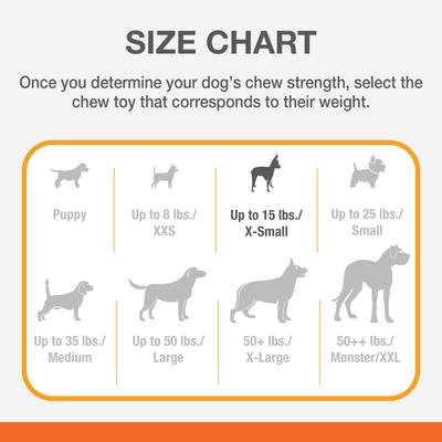 Show full view: Nylabone Flavor Frenzy Power Chew Triple Pack Pancakes & Sausage, Roast Beef Club, & Lasagna, X-Small slide 5 of 14