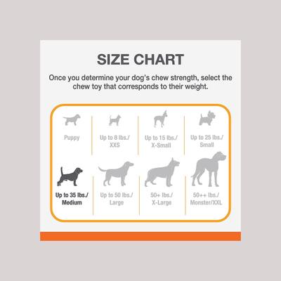 Show full view: Nylabone Flavor Frenzy Strong Chew Toy Dog Toy Bacon & Cheeseburger, Medium  slide 5 of 13