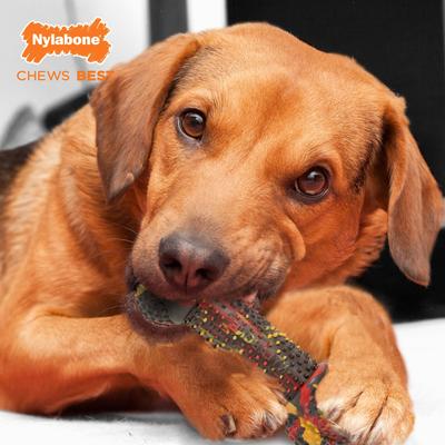 Show full view: Nylabone Flavor Frenzy Strong Chew Toy Dog Toy Bacon & Cheeseburger, Medium  slide 9 of 13