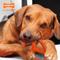 Show in main carousel: Nylabone Flexi Oval Ring Dog Chew Toy, Orange, Medium/Wolf slide 3 of 10