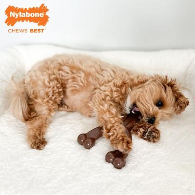Show full view: Nylabone Flexi Wishbone Dog Chew Toy, Brown, Medley Flavor, Wolf/Medium slide 8 of 13