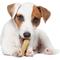 Show in main carousel: Nylabone FlexiChew Chicken Flavored Dog Chew Toy, Small, 2 count slide 4 of 12