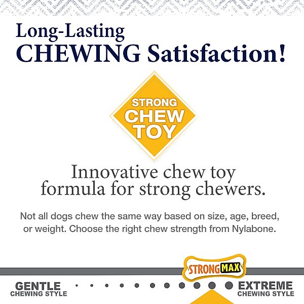 Nylabone Gourmet Style Strong Chew Stick Dog Chew Toy
