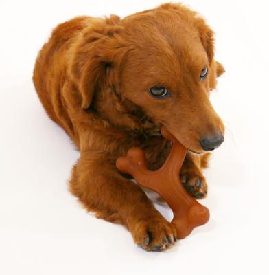 Show full view: Nylabone Gourmet Style Strong Chew Wishbone Bacon Dog Toy, Bacon, Small/Regular slide 2 of 13