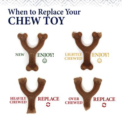 Show full view: Nylabone Gourmet Style Strong Chew Wishbone Dog Chew Toy, Chicken, Small/Regular slide 8 of 13