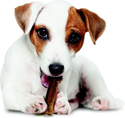 Show full view: Nylabone Healthy Edibles All-Natural Long Lasting Bacon Dog Chew Treats, Small slide 10 of 13