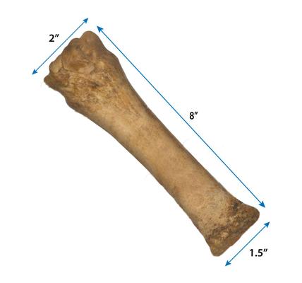 Show full view: Nylabone Healthy Edibles All-Natural Long Lasting Bacon Dog Chew Treats, 2 count bundle slide 3 of 13