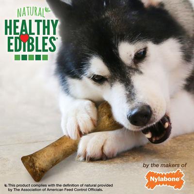 Show full view: Nylabone Healthy Edibles All-Natural Long Lasting Bacon Dog Chew Treats, 2 count bundle slide 9 of 13