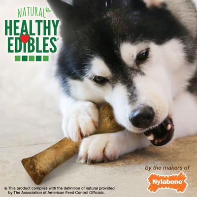 Show full view: Nylabone Healthy Edibles All-Natural Long Lasting Bacon Dog Chew Treats, Souper, 8-inch, 2 count slide 10 of 13