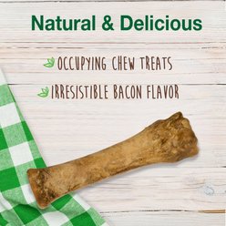 Nylabone Healthy Edibles All-Natural Long Lasting Bacon Dog Chew Treats, X-Large, 4 count slide 2 of 7