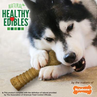 Show full view: Nylabone Healthy Edibles All-Natural Long Lasting Peanut Butter Flavor Dog Chew Treats, 1 count, X-Large/Souper slide 7 of 13