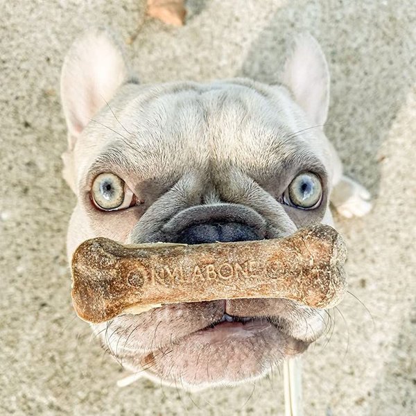Show full view: Nylabone Healthy Edibles All-Natural Long Lasting Roast Beef Dog Chew Treats, Medium, 2 count slide 3 of 13