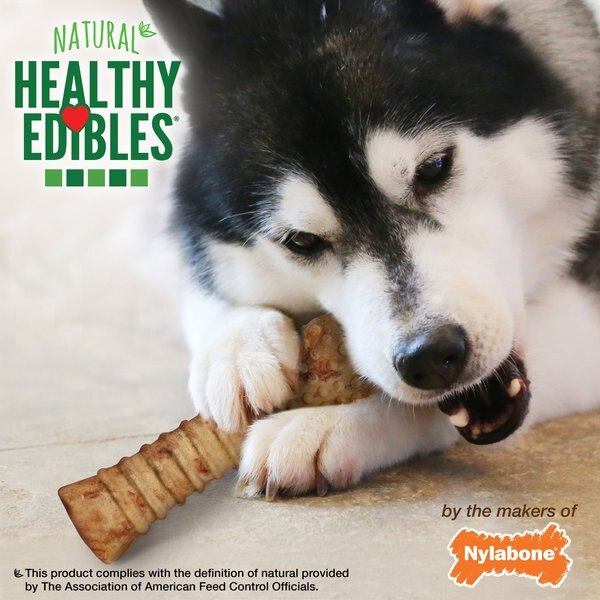 Nylabone Healthy Edibles All-Natural Long Lasting Turkey & Apple Dog Chew Treats