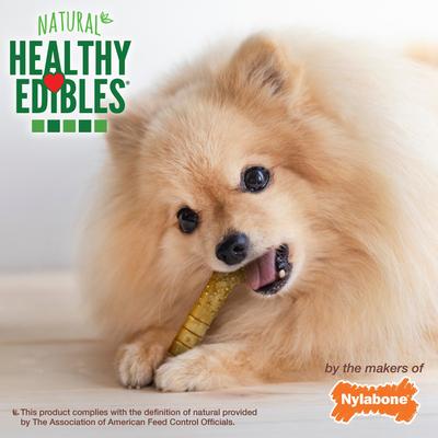 Show full view: Nylabone Healthy Edibles All-Natural Long Lasting Turkey & Apple Dog Chew Treats, X-Small, 12 count slide 5 of 12
