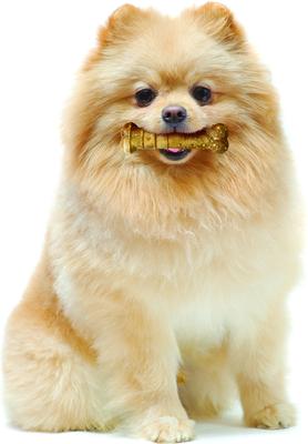 Show full view: Nylabone Healthy Edibles All-Natural Long Lasting Turkey & Apple Dog Chew Treats, X-Small, 12 count slide 9 of 12