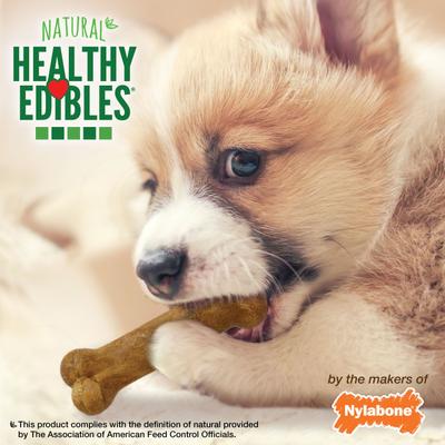 Show full view: Nylabone Healthy Edibles Bacon, Roast Beef, & Turkey Puppy Starter Kit Dog Treats, 3 pack slide 9 of 12