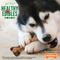 Show in main carousel: Nylabone Healthy Edibles Broth Bone Ham Flavor Dog Treats, Large, 1 count slide 7 of 11