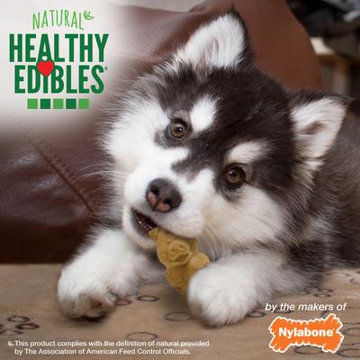 Show full view: Nylabone Healthy Edibles Long Lasting Puppy Lamb & Apple Flavor Dog Bone Treats, 12 count slide 6 of 12