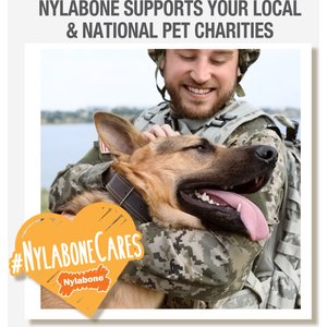 Nylabone Healthy Edibles Long Lasting Puppy Lamb & Apple Flavor Dog Bone Treats, 12 count
