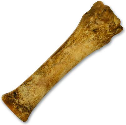 Show full view: Nylabone Healthy Edibles Longer Lasting Chicken Flavor Dog Bone Treat, X-Large, bundle of 2 slide 5 of 13