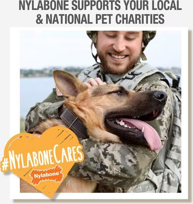 Show full view: Nylabone Healthy Edibles Longer Lasting Chicken Flavor Dog Bone Treat, X-Large, bundle of 2 slide 9 of 13