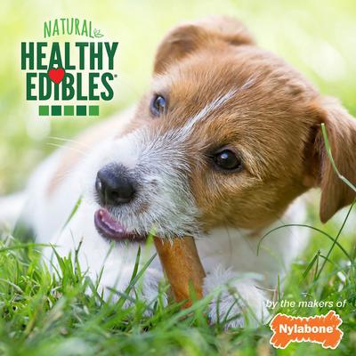 Show full view: Nylabone Healthy Edibles Longer Lasting Chicken Flavor X-Small Breed Dog Bone Treats, 16 count slide 8 of 13