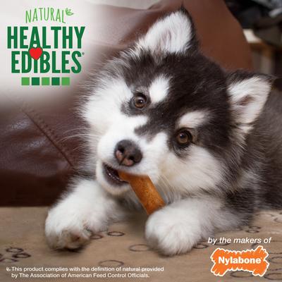 Show full view: Nylabone Healthy Edibles Longer Lasting Puppy Turkey & Sweet Potato Flavor Dog Bone Treats, Small, 3 count slide 7 of 13