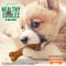 Show in main carousel: Nylabone Healthy Edibles Longer Lasting Puppy Turkey & Sweet Potato Flavor Dog Bone Treats, X-Small, 16 count slide 7 of 12