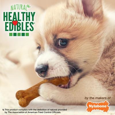 Show full view: Nylabone Healthy Edibles Longer Lasting Puppy Turkey & Sweet Potato Flavor Dog Bone Treats, X-Small, 16 count slide 7 of 12