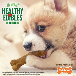 Nylabone Healthy Edibles Puppy Natural Lamb & Apple Long Lasting Dog Chew Treats, X-Small, 8 count