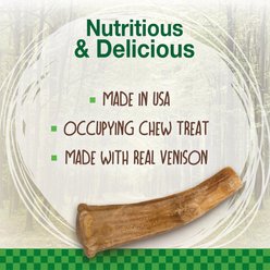 Nylabone Healthy Edibles WILD Antler Natural Long Lasting Venison Dog Chew Treats, Medium, 2 count slide 2 of 9